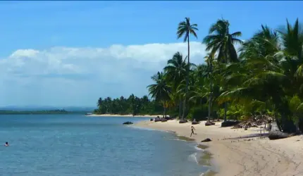 Terreno/Lote a venda  Barra  de Serinhaém, Bahia