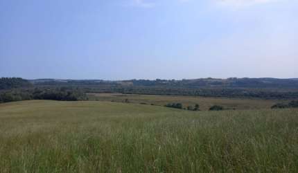 Fazenda para lavoura e pecuária na Lapa