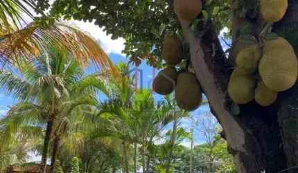 CHÁCARA Á VENDA  CHÁCARAS DE RECREIO 2000  EM HORTOLÂNDIA SP