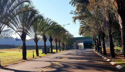 TERRENO DE ESQUINA - 593,70 M² - CONDOMÍNIO ALTO DA BOA VISTA - PAULÍNIA