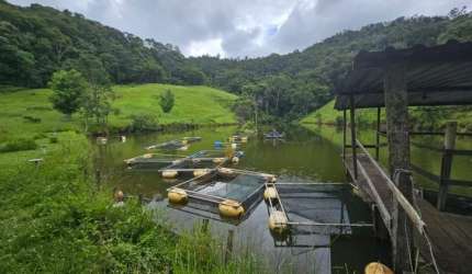 Sítio à venda 17 alqueires localização excelente