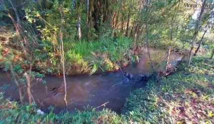 Chácara para Venda em Tijucas do Sul, Ambrósio
