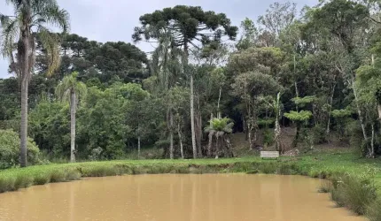 Chácara para Venda em Tijucas do Sul, Campina do Rincão, 4 dormitórios, 1 suíte, 3 banheiros