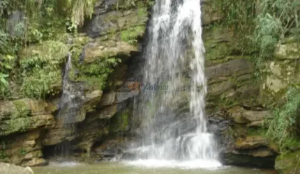 Fazenda a Venda em Piraju SP