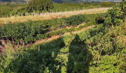 Propriedade Rural em Piraju - SP