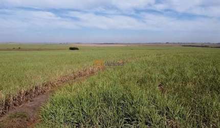 Fazenda de luxo à venda em Araçatuba-SP: 4 quartos, 1 suíte, 3 salas, 4 banheiros, 20 vagas de garagem, 402 hectares de área.