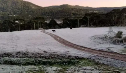 Área para Venda em Urubici, Vacas Gordas