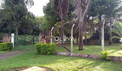 Chácara com 3 dormitórios à venda, 6000 m² por R$ 1.400.000,00 - Morada Campestre (Zona Rural) - São José do Rio Preto/SP
