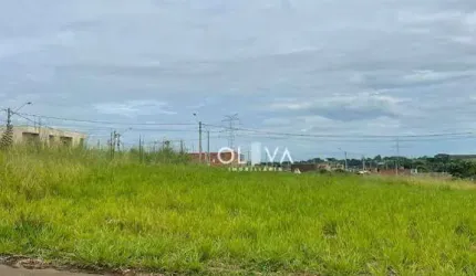 Terreno à venda, 220 m² por R$ 68.000,00 - Jardim dos Ipês - Bady Bassitt/SP