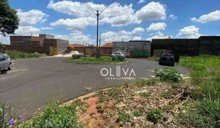 Terreno à venda, 330 m² por R$ 235.000 - Vila Angélica - São José do Rio Preto/SP