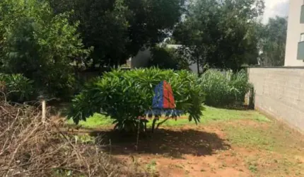 Terreno para alugar, 500 m² por R$ 1.500,00/mês - Vila Dainese - Santa Bárbara D'Oeste/SP