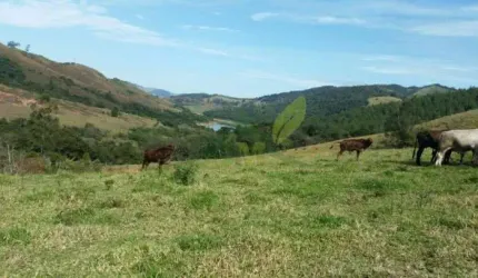 Sítio Tranquilo em Piracaia - 8 Alqueires com Vista para Represa