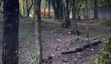Chácara para Venda em Nazaré Paulista, Morro Grande
