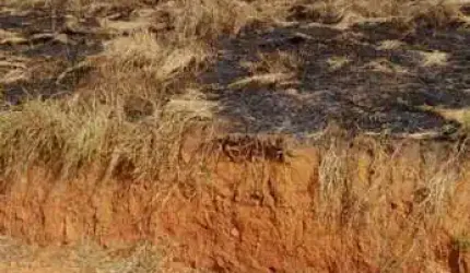 Terreno para Venda em Arujá, Chácara Bananal