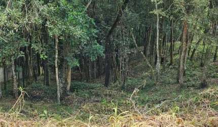 Terreno para Venda em Mairiporã, Pirucaia