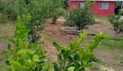 Chácara para Venda em Miracatu, CENTRO, 3 dormitórios, 1 suíte, 2 banheiros, 5 vagas