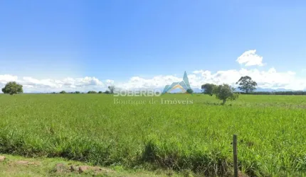Fazenda para Gado c/ 156 Alqueires (756 ha), Campos - RJ