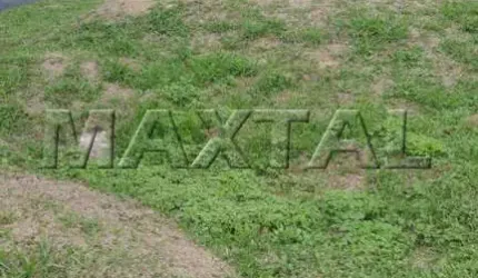 Terreno de 300m² no Condomínio Mirante do Horto. Pronto para Construir com Projeto e Alvará Aprovado