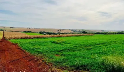 Sítio à venda, 121000 m² por R$ 4.000.000,00 - Prq Ind 200 - Maringá/PR