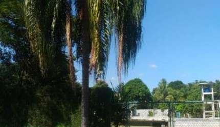 LINDA CHÁCARA NO VALE DAS LARANJEIRAS, 3.000m², INDAIATUBA/SP.
