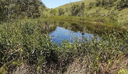 Fazenda à venda, 552000 m² por R$ 2.500.000,00 - Anchieta - Anchieta/ES
