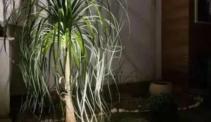 Sobrado à Venda, Bairro Santo Antônio , Louveira , SP