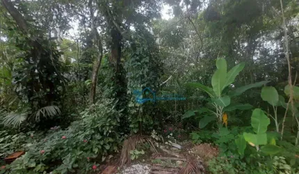 Terreno à venda, 835 m² por R$ 1.200.000,00 - Jardim  São Lourenço - Bertioga/SP