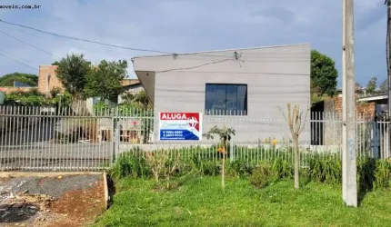 Casa para Locação em Guarapuava, Vila Carli