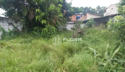 Terreno à venda, 225 m² por R$ 290.000,00 - Serra Grande - Niterói/RJ