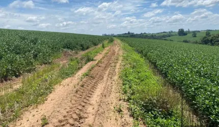 Fazenda para Venda em Itapetininga, Centro