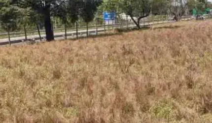 Área para Venda em São Roque, Jardim Cardoso (Mailasqui)