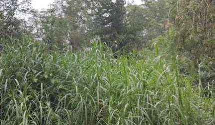 Terreno em Condomínio para Venda em Jundiaí, Loteamento Capital Ville