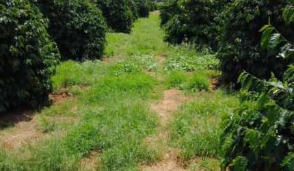 Fazenda para Venda em Varginha, Centro