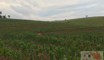 Fazenda para Venda em São Paulo, Vila Moinho Velho