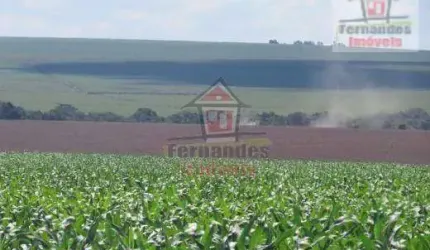 Fazenda à venda, 2.100 HA  - Dourados/MS