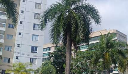 APARTAMENTO  2/4  PARA ALUGAR  NO ALPHAVILLE.