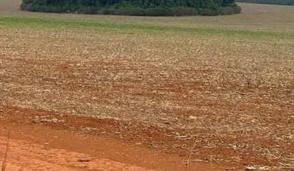 FAZENDA DUPLA APTIDÃO COM 350 ALQUEIRES EM CIDADE OCIDENTAL - GO