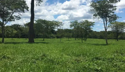 FAZENDA DUPLA APTIDÃO COM 415 ALQUEIRES EM MIMOSO - GO