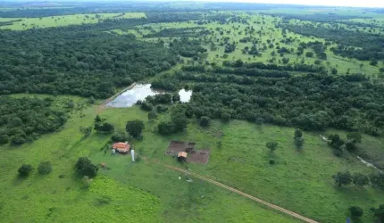 FAZENDA DUPLA APTIDÃO COM 435 ALQUEIRES EM NOVO PLANALTO - GO