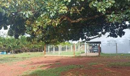 FAZENDA DUPLA APTIDÃO COM 105 ALQUEIRES EM FAZENDA NOVA - GO