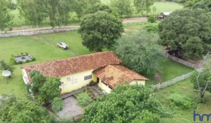 FAZENDA COM 175 ALQUEIRES DUPLA APTIDÃO EM COLINAS DO SUL - GO