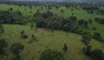 FAZENDA DUPLA APTIDÃO COM 210 ALQUEIRES EM ALTO HORIZONTE - GO