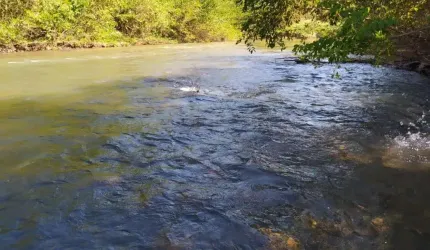 FAZENDA COM 75 ALQUEIRES DUPLA APTIDÃO EM JARAGUÁ - GO