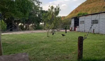 FAZENDA COM 204 ALQUEIRES PARA PECUÁRIA NO MUNICÍPIO DE CAIAPÔNIA - GO