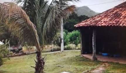 FAZENDA COM 120 ALQUEIRES PARA PECUÁRIA NO MUNICÍPIO DE FAINA - GO
