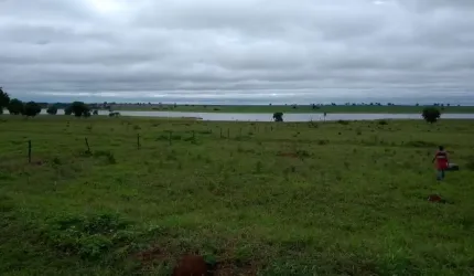 FAZENDA COM 110 ALQUEIRES DUPLA APTIDÃO NO MUNICÍPIO DE PARANAIGUARA - GO