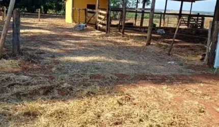 FAZENDA COM 15 ALQUEIRES DUPLA APTIDÃO NO MUNICÍPIO DE ARAPORÃ - MG