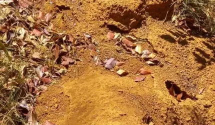 FAZENDA DUPLA APTIDÃO COM 10.000 HECTARES ÁREA BRUTA EM BARÃO DE GRAJAÚ - MA