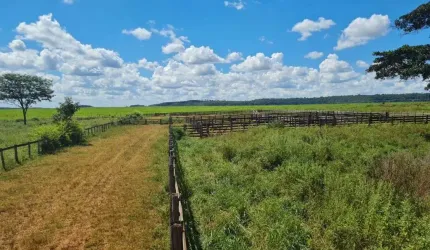 FAZENDA DUPLA APTIDÃO 160 ALQUEIRES EM ITARUMÃ-GO