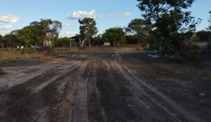 FAZENDA BRUTA COM 168 ALQUEIRES EM PONTE ALTA DO TOCANTINS-TO